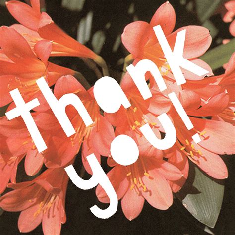 Download and use 1,000+ <b>Thank</b> <b>You</b> stock photos for free. . Thank you flowers gif